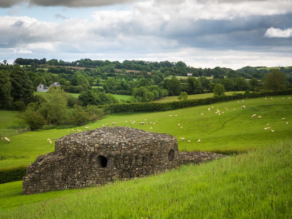 Countryside view